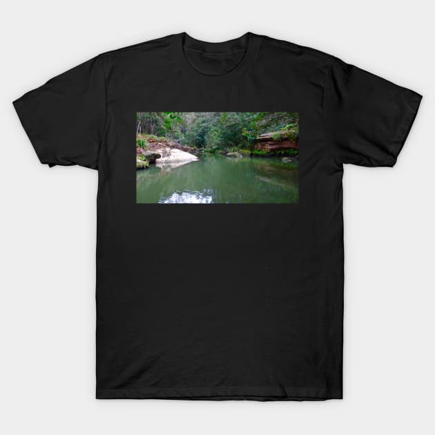 The Bush Waterhole! T-Shirt by Mickangelhere1